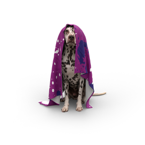 Pet Blanket - UK Printing Company
